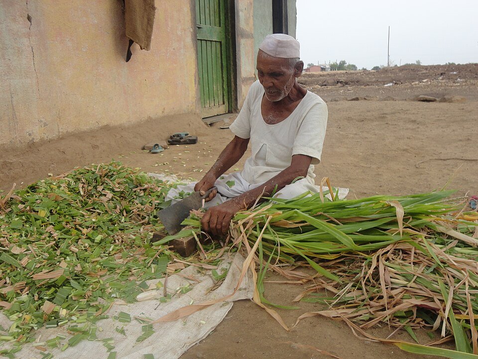 Sustainable Agriculture & Rural Livelihoods