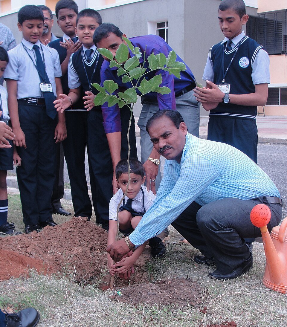 Environmental Protection & Afforestation